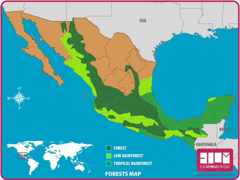 地図のメキシコの森