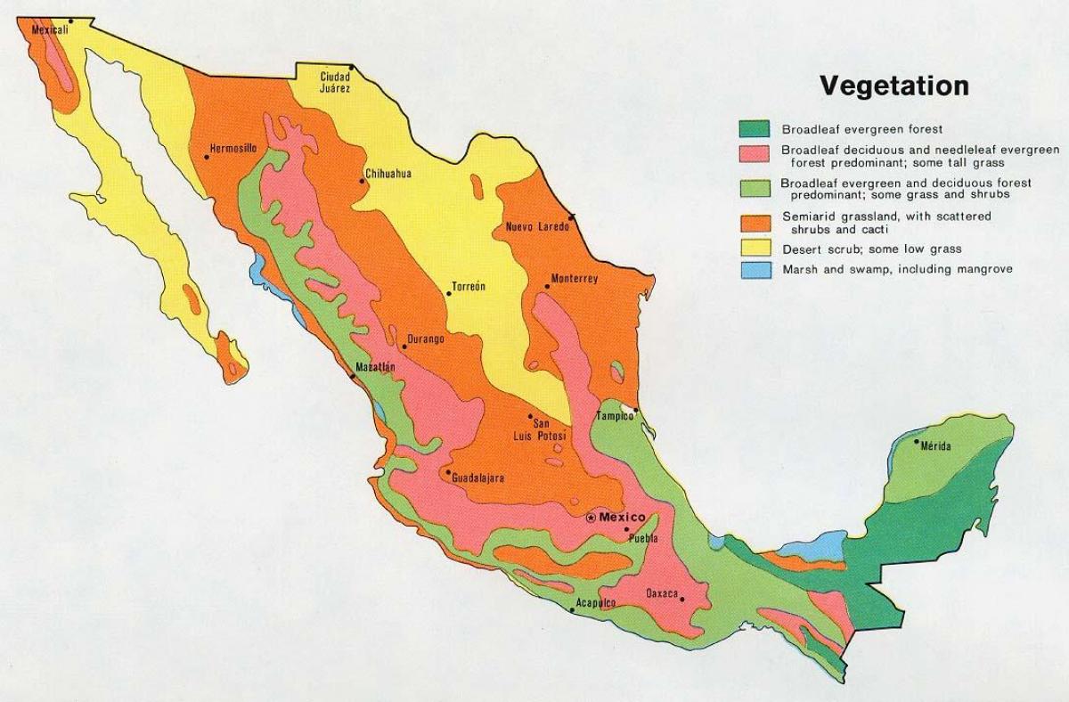 地図のメキシコnatual源