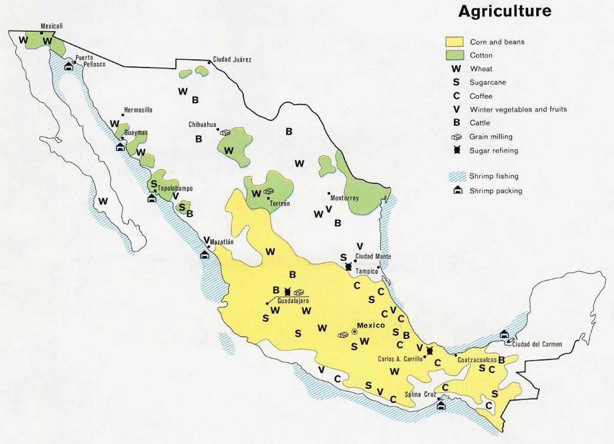 地図のメキシコ農業