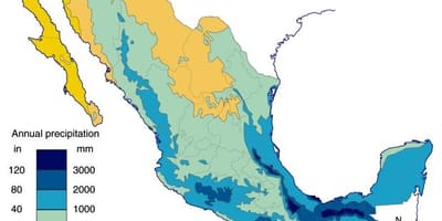 地図のメキシコに降水量