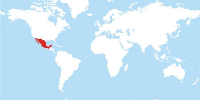 所在地メキシコの世界地図