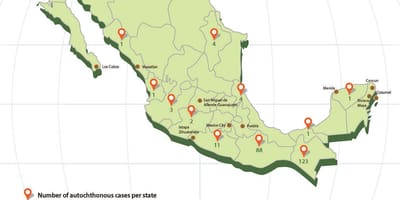 Zikaメキシコの地図
